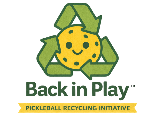Back in Play logo